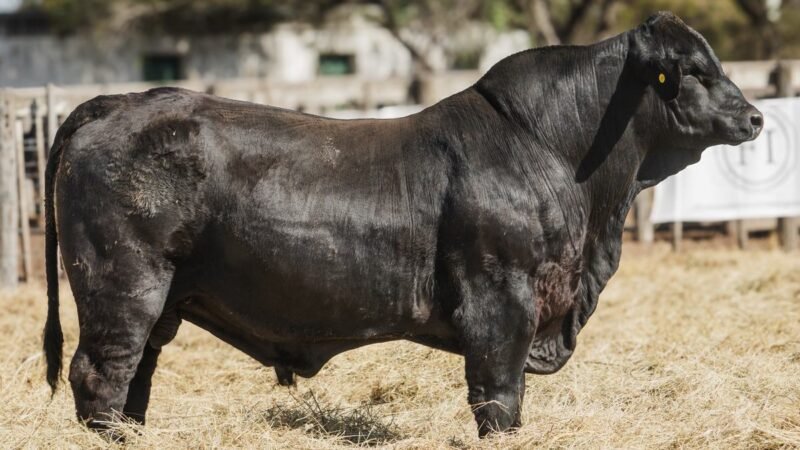 LOTE 10A RP 2206 CABAÑA LA AGUADA DE ALMARÁ