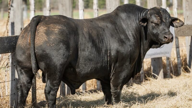 LOTE 12A RP 2158 CABAÑA LA AGUADA DE ALMARÁ