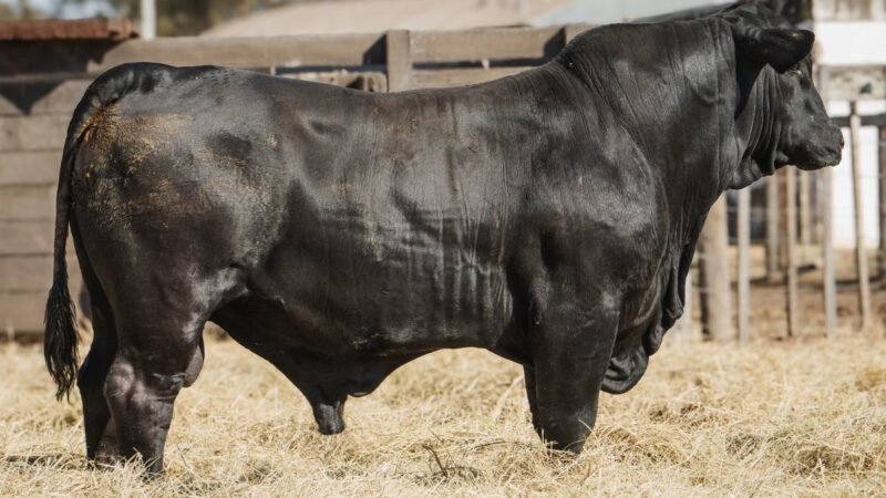 LOTE 12B RP 2207 CABAÑA LA AGUADA DE ALMARÁ