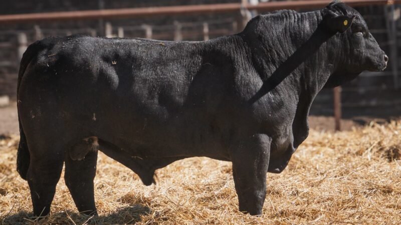 LOTE 13A RP SG. 2225 CABAÑA SAN GERARDO