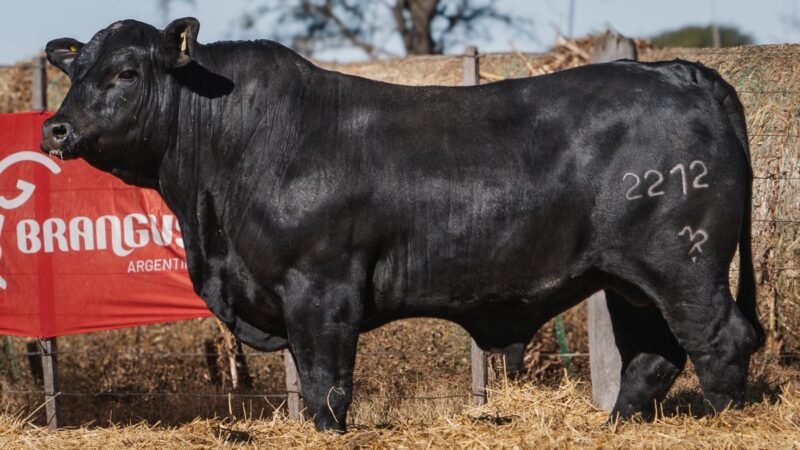 LOTE 14A RP SG. 2212 CABAÑA SAN GERARDO