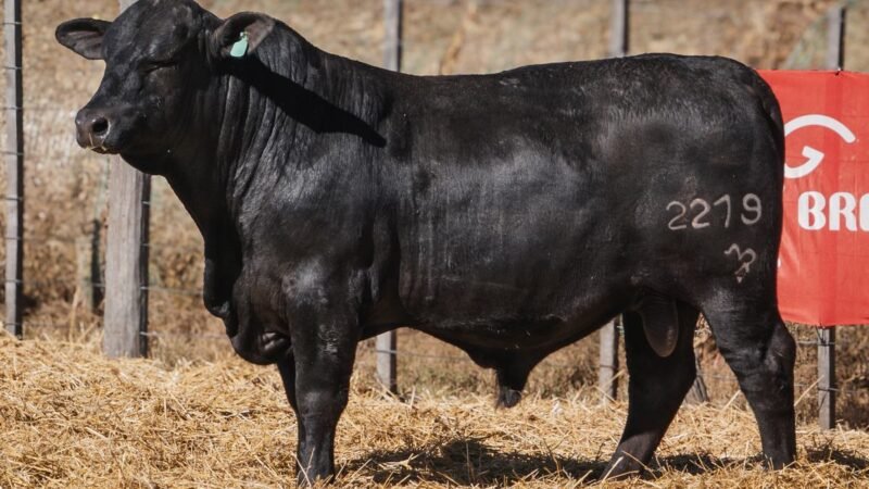 LOTE 14B RP SG. 2219 CABAÑA SAN GERARDO