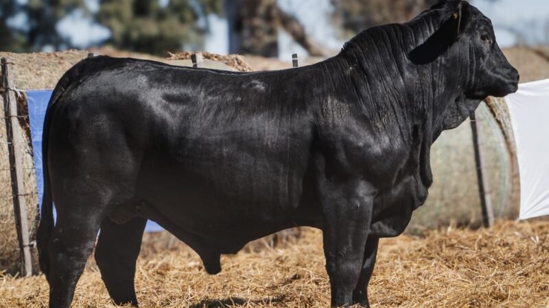 LOTE 15C RP SG. 2220 CABAÑA SAN GERARDO