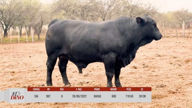 LOTE 18A RP 987 CABAÑA EL DINO