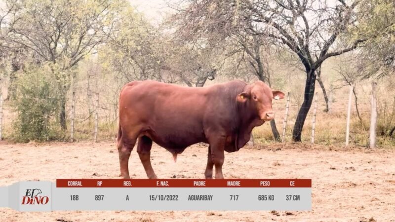 LOTE 18B RP 897 CABAÑA EL DINO