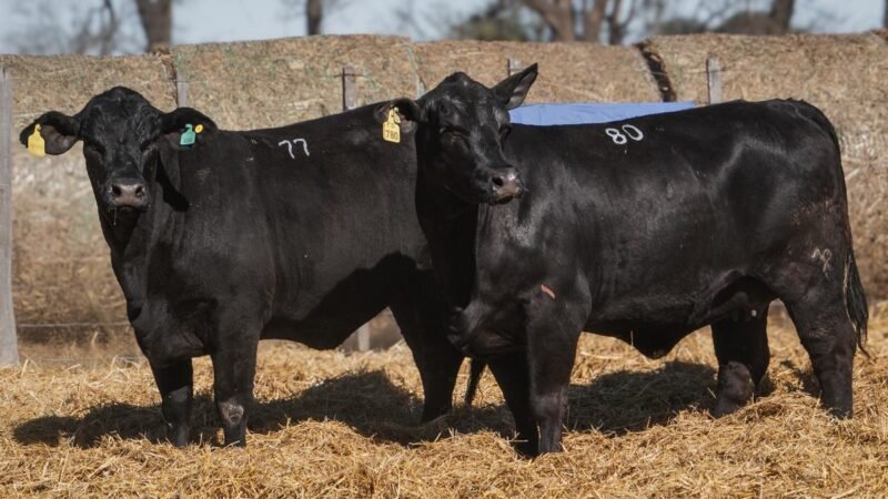 LOTE 33 RP 22780 CABAÑA SAN GERARDO