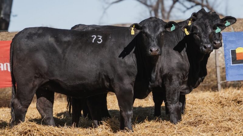 LOTE 34 RP 23850 CABAÑA SAN GERARDO