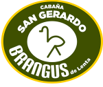 Logo-San-Gerardo