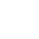 logo-FI